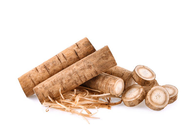 Burdock Root Extract