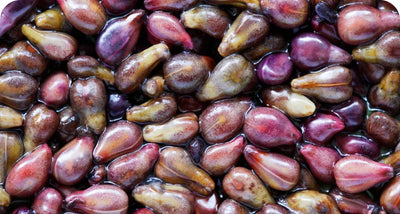 GRAPE SEED